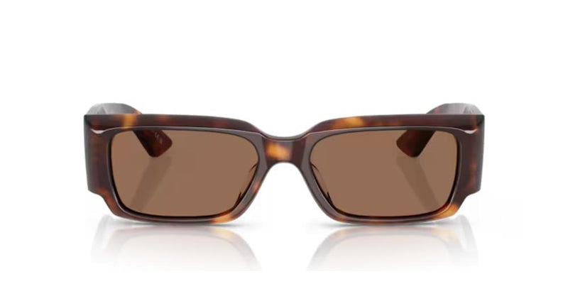 Oliver Peoples 1995c OV 5583SU Occhiali da sole 100773