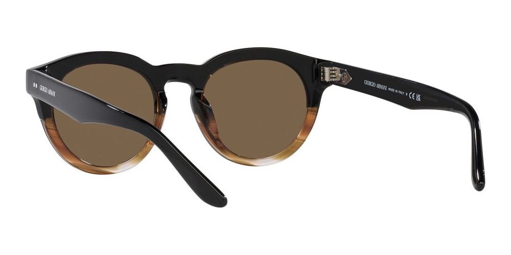 Giorgio Armani AR 8189U Occhiali da sole 600673