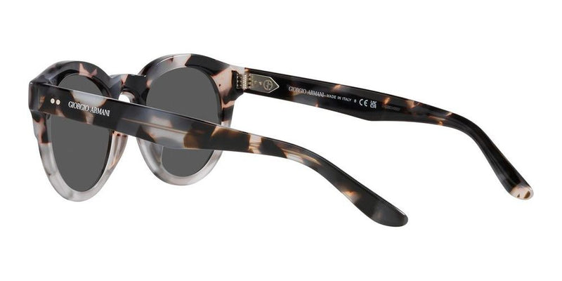 Giorgio Armani AR 8189U Occhiali da sole 600987