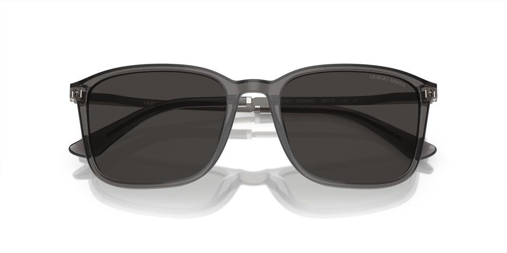Giorgio Armani AR 8197 Occhiali da sole 6036M3