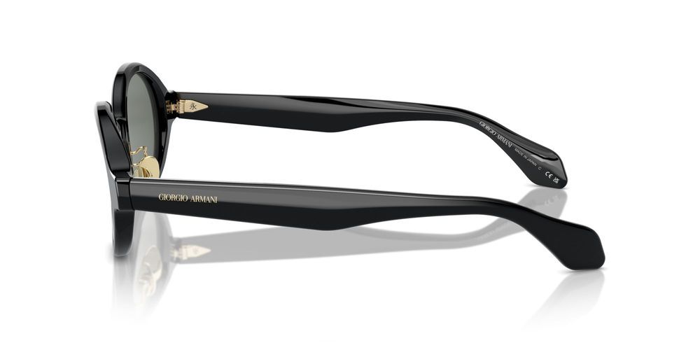 Giorgio Armani AR 8205 Occhiali da sole 6060/1