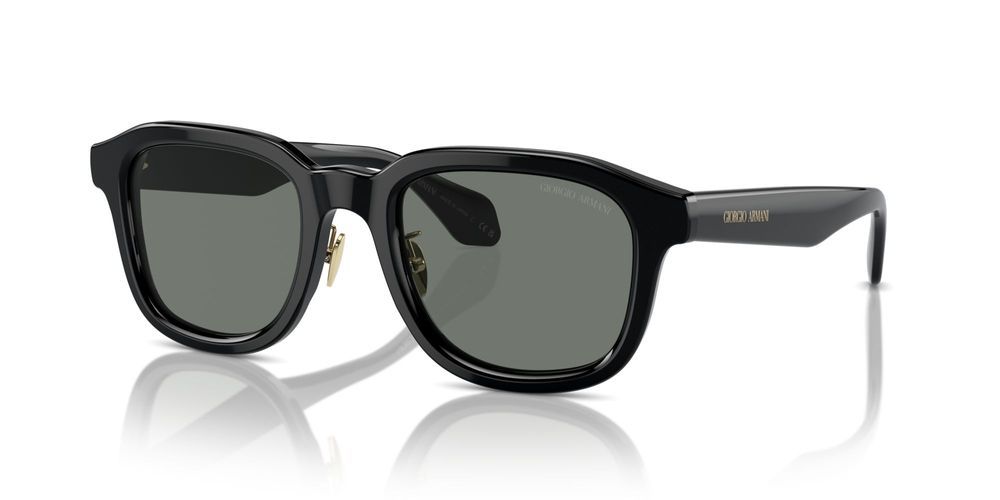 Giorgio Armani AR 8206 Occhiali da sole 6060/1