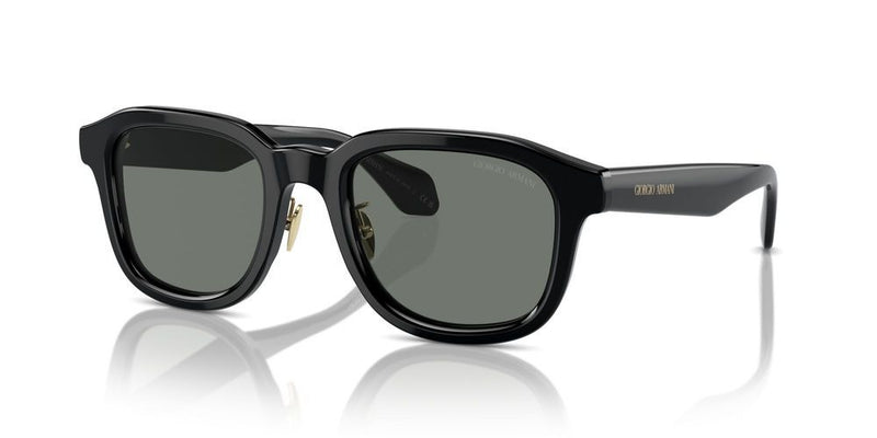 Giorgio Armani AR 8206 Occhiali da sole 6060/1