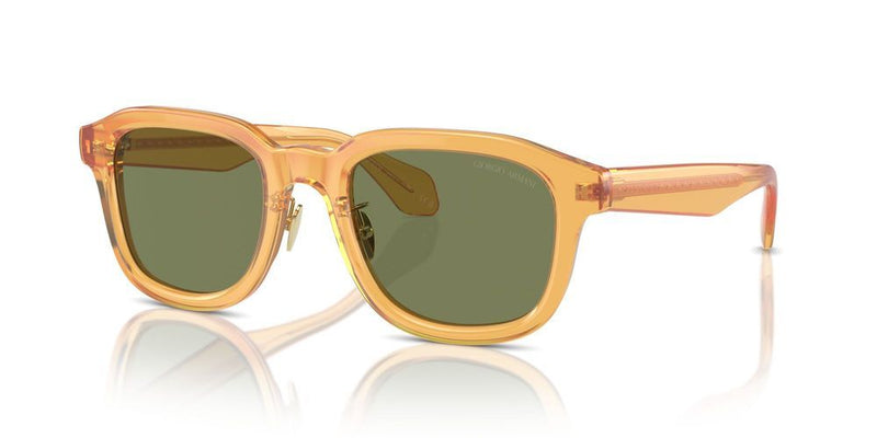 Giorgio Armani AR 8206 Occhiali da sole 60632A