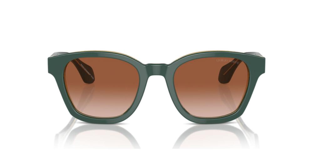 Giorgio Armani AR 8207 Occhiali da sole 608613