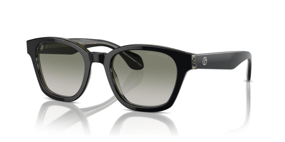 Giorgio Armani AR 8207 Occhiali da sole 60873M