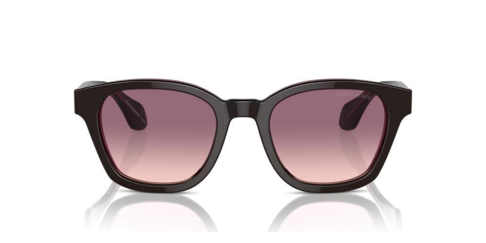 Giorgio Armani AR 8207 Occhiali da sole 60888D