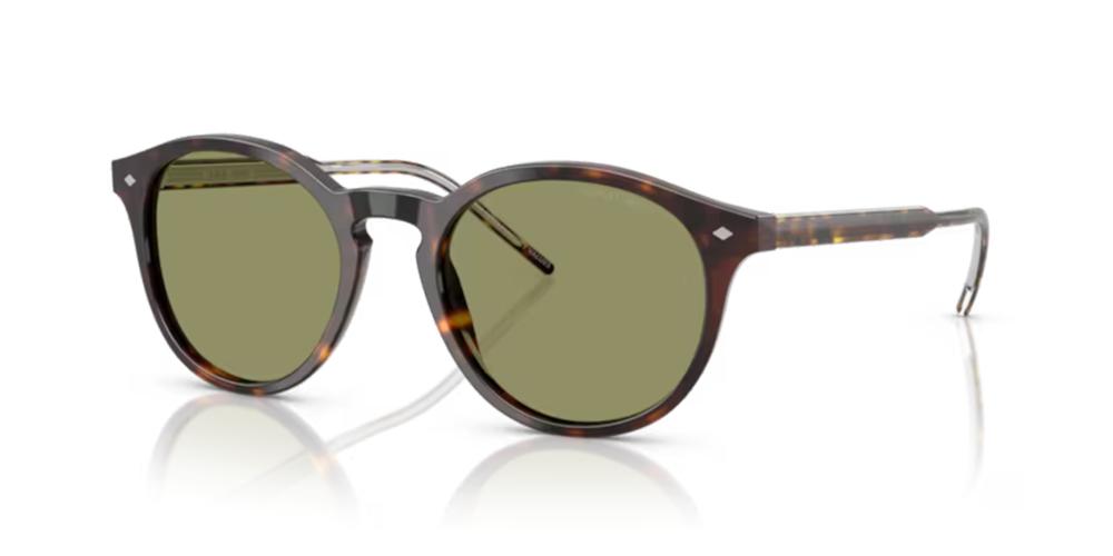 Giorgio Armani AR 8211 Occhiali da sole 587914