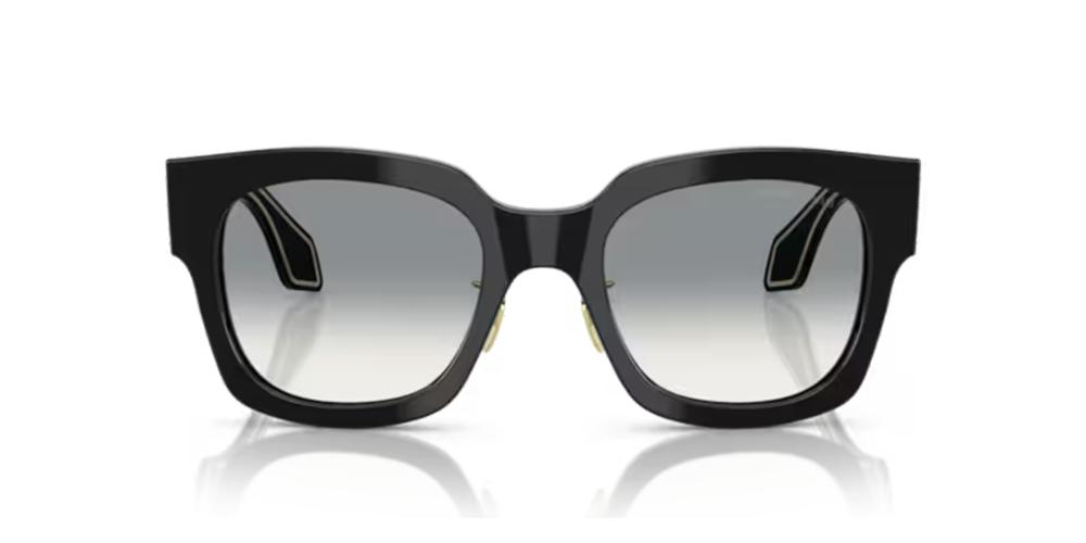 Giorgio Armani AR 8223 Occhiali da sole 500111