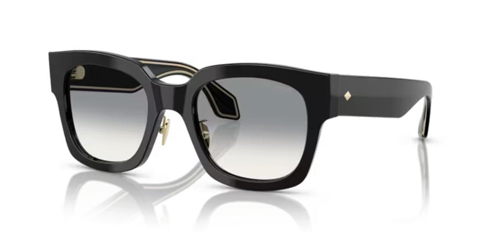 Giorgio Armani AR 8223 Occhiali da sole 500111
