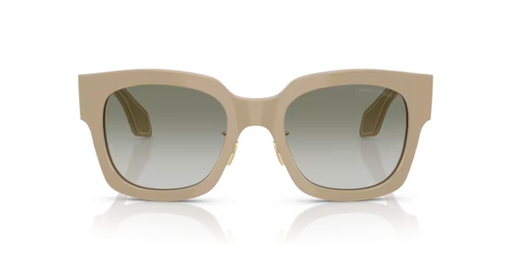 Giorgio Armani AR 8223 Occhiali da sole 61618E