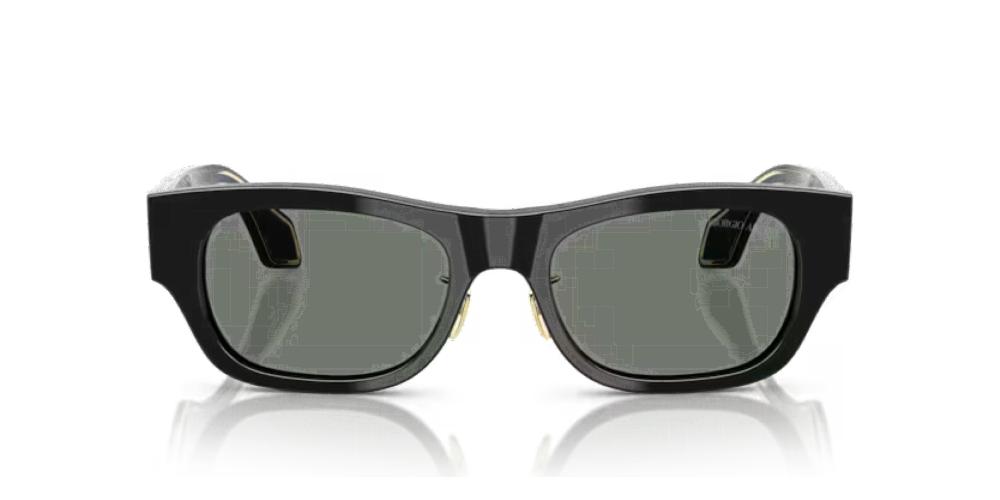 Giorgio Armani AR 8224 Occhiali da sole 500111