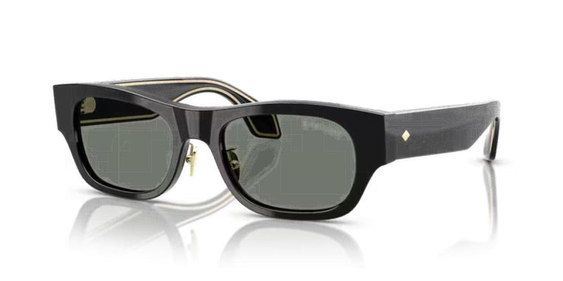 Giorgio Armani AR 8224 Occhiali da sole 500111