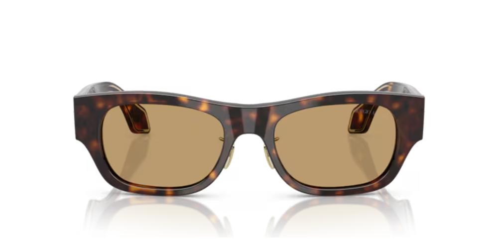 Giorgio Armani AR 8224 Occhiali da sole 502673