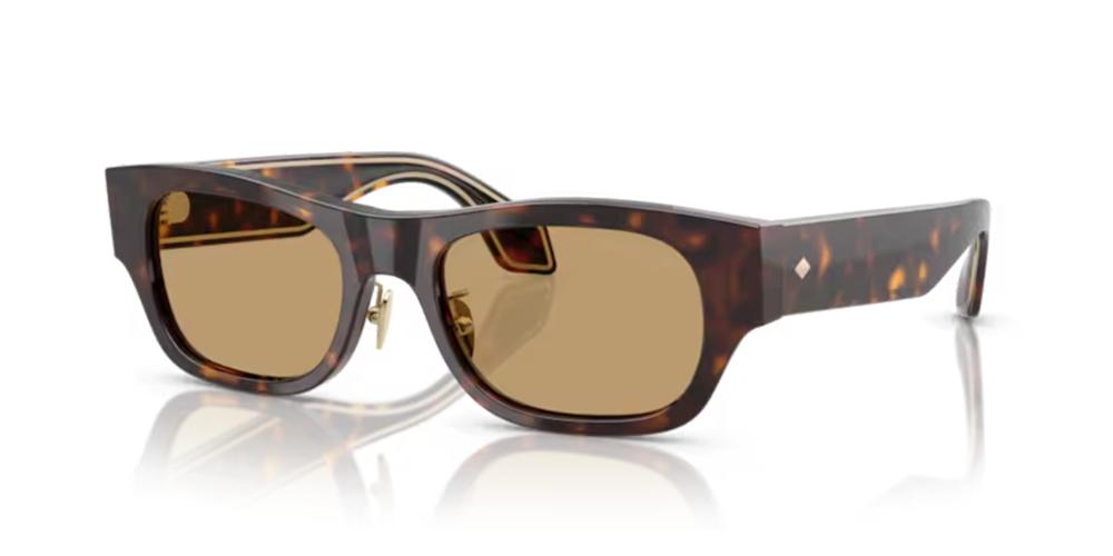 Giorgio Armani AR 8224 Occhiali da sole 502673