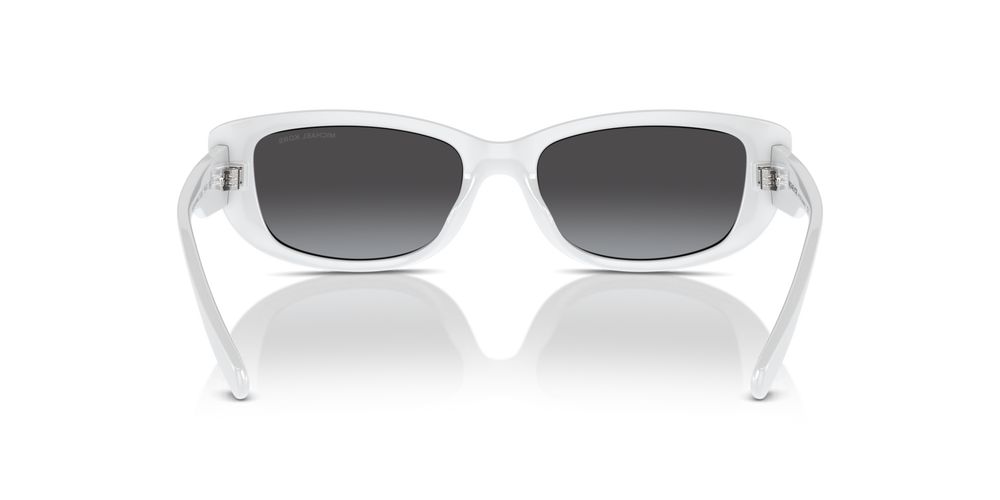 Michael Kors ASHEVILLE MK 2210U Occhiali da sole 31008G