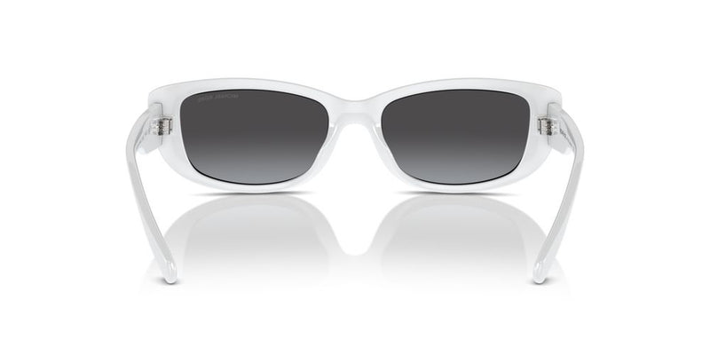 Michael Kors ASHEVILLE MK 2210U Occhiali da sole 31008G