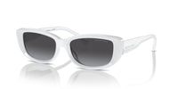 Michael Kors ASHEVILLE MK 2210U Occhiali da sole 31008G