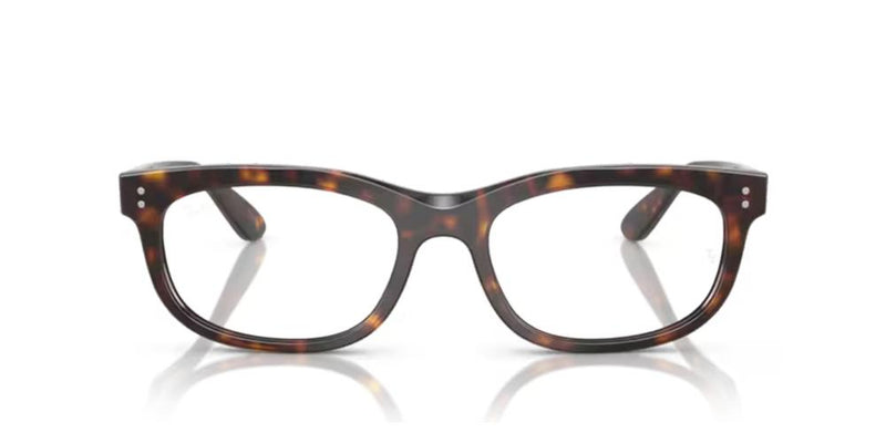 Ray-Ban BALORETTE RX 5489 Occhiali da vista 2012