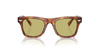 Brunello Cucinelli BC 4002S Occhiali da sole 10244C