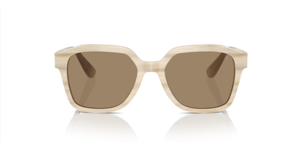 Brunello Cucinelli BC 4005S Occhiali da sole 100253