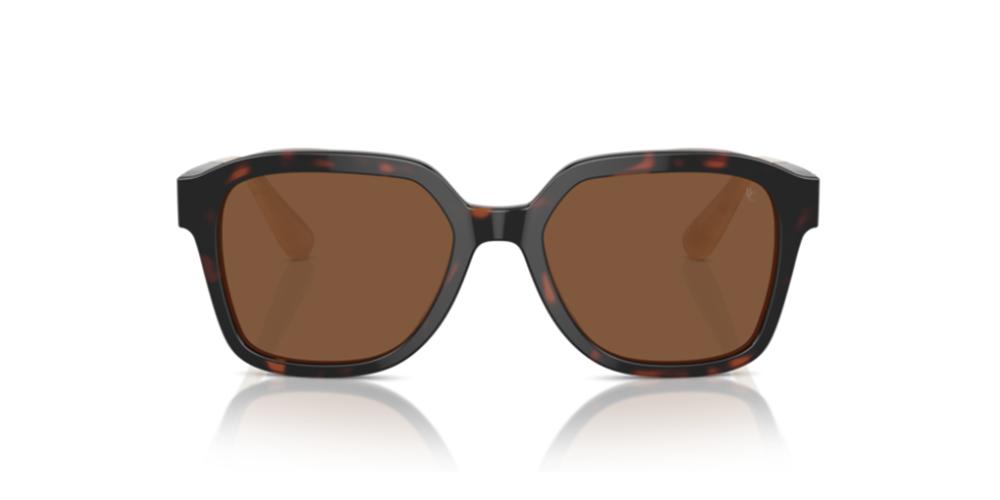 Brunello Cucinelli BC 4005S Occhiali da sole 1015N9