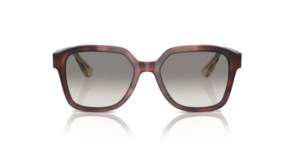 Brunello Cucinelli BC 4005S Occhiali da sole 101632