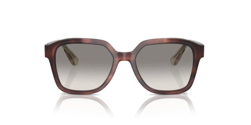 Brunello Cucinelli BC 4005S Occhiali da sole 101632