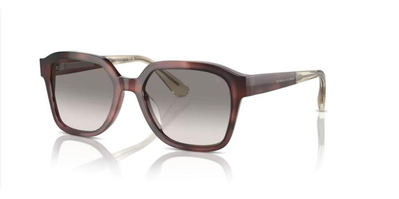Brunello Cucinelli BC 4005S Occhiali da sole 101632