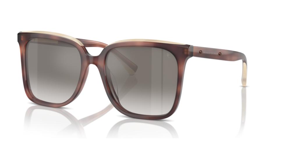 Brunello Cucinelli BC 4007S Occhiali da sole 10166I
