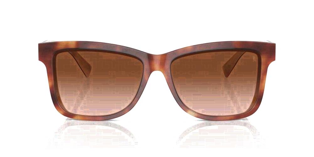 Brunello Cucinelli BC 4009S Occhiali da sole 10063B