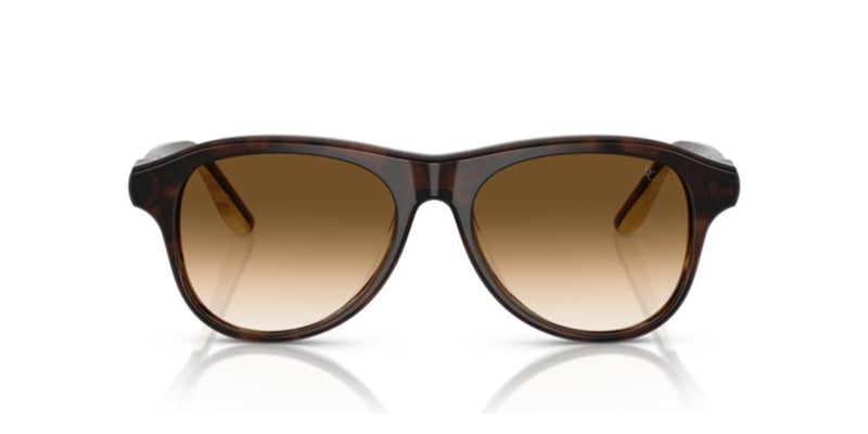 Brunello Cucinelli BC 4015S Occhiali da sole 102651