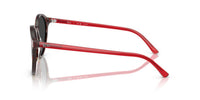 Ray-Ban BERNARD RB 2230 Occhiali da sole 141948