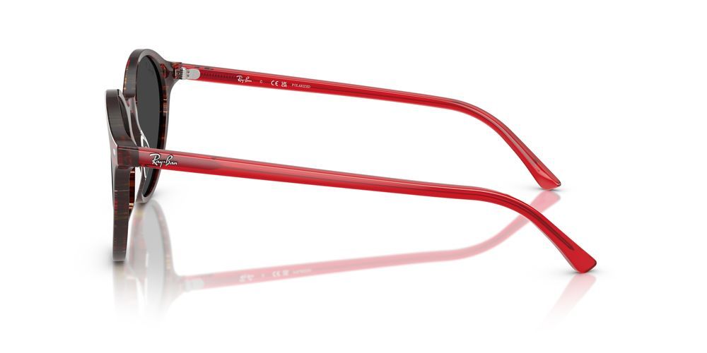 Ray-Ban BERNARD RB 2230 Occhiali da sole 141948