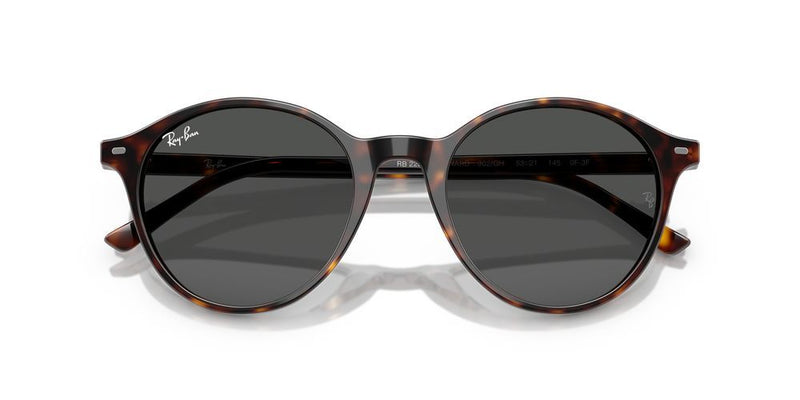 Ray-Ban BERNARD RB 2230 Occhiali da sole 902/GH