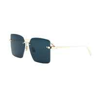 DIOR CDior S3U Occhiali da sole B0B0