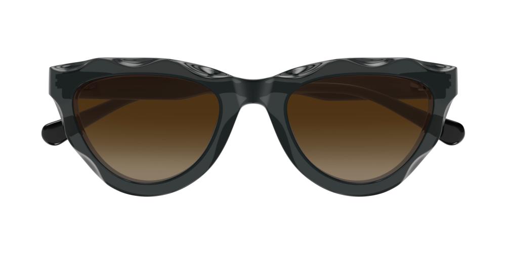 Chloé CH0294S Occhiali da sole 005 AA