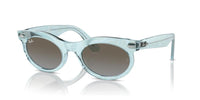 Ray-Ban CHANGE WAYFARER OVAL RB 2242 Occhiali da sole 138596