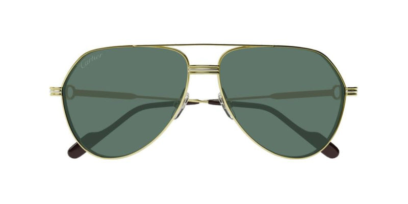 Cartier CT0303S Occhiali da sole 004 GDGG