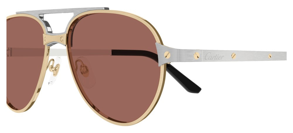 Cartier CT0476S Occhiali da sole 006 AA