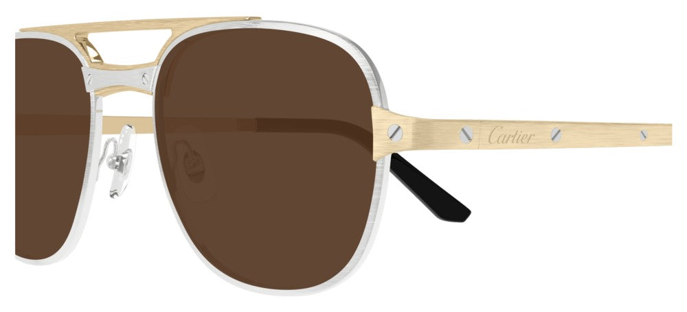 Cartier CT0477S Occhiali da sole 004 AF