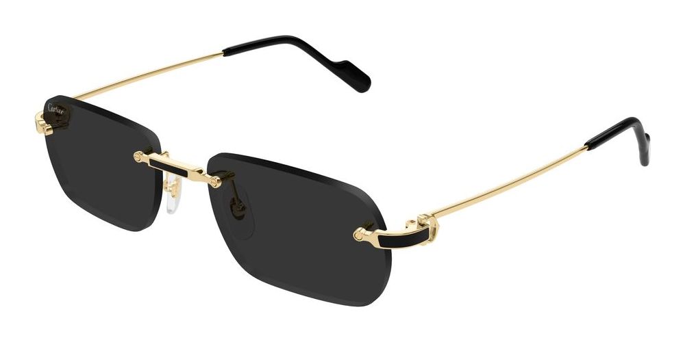 Cartier CT0498S Occhiali da sole 001