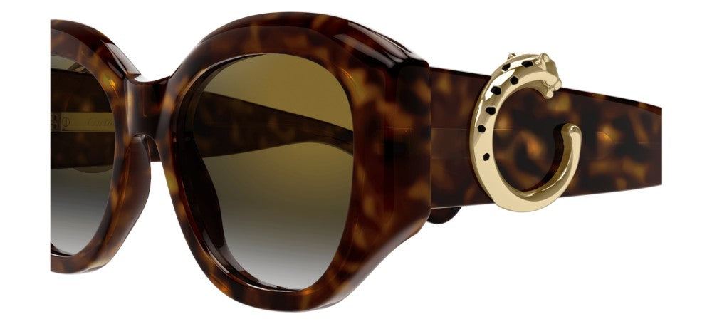 Cartier CT0502S Occhiali da sole 002 AA