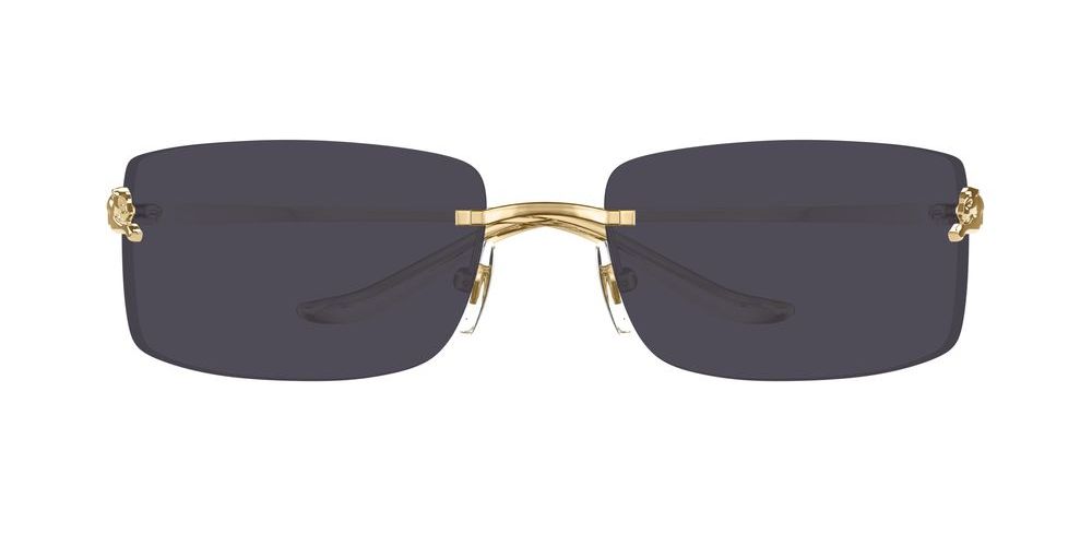 Cartier CT0503S Occhiali da sole 001 BG