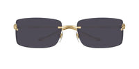Cartier CT0503S Occhiali da sole 001 BG
