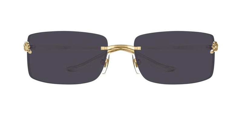 Cartier CT0503S Occhiali da sole 001 BG