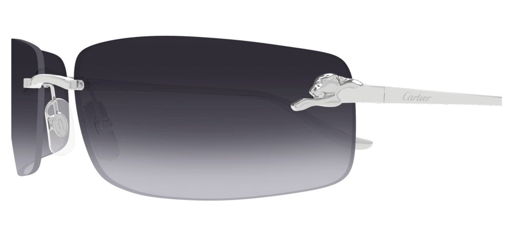 Cartier CT0503S Occhiali da sole 002 AF