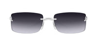 Cartier CT0503S Occhiali da sole 002 AF