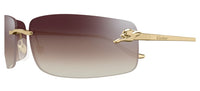 Cartier CT0503S Occhiali da sole 003 AE