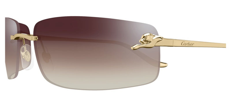 Cartier CT0503S Occhiali da sole 003 AE